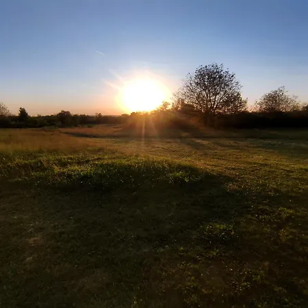 Duva Mongolska Yurta Bistrica (Branicevo)