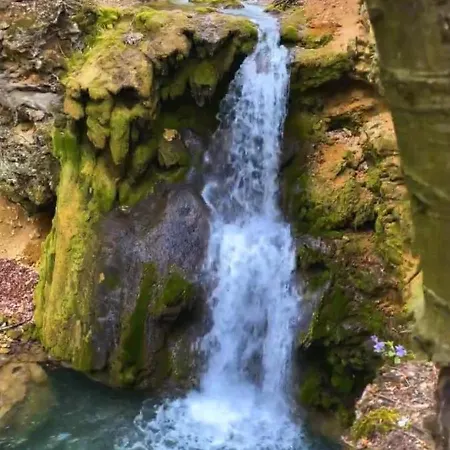 Duva Mongolska Yurta * Bistrica (Branicevo)