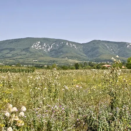 Duva Mongolska Yurta * Bistrica (Branicevo)